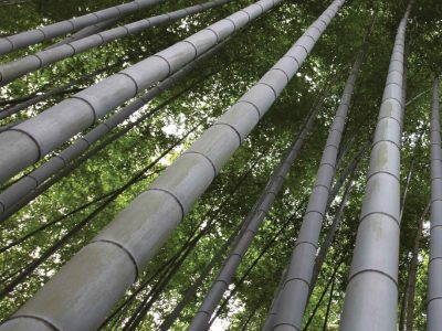 Bamboo Flooring in Sri Lanka